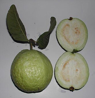 Jambu Batu