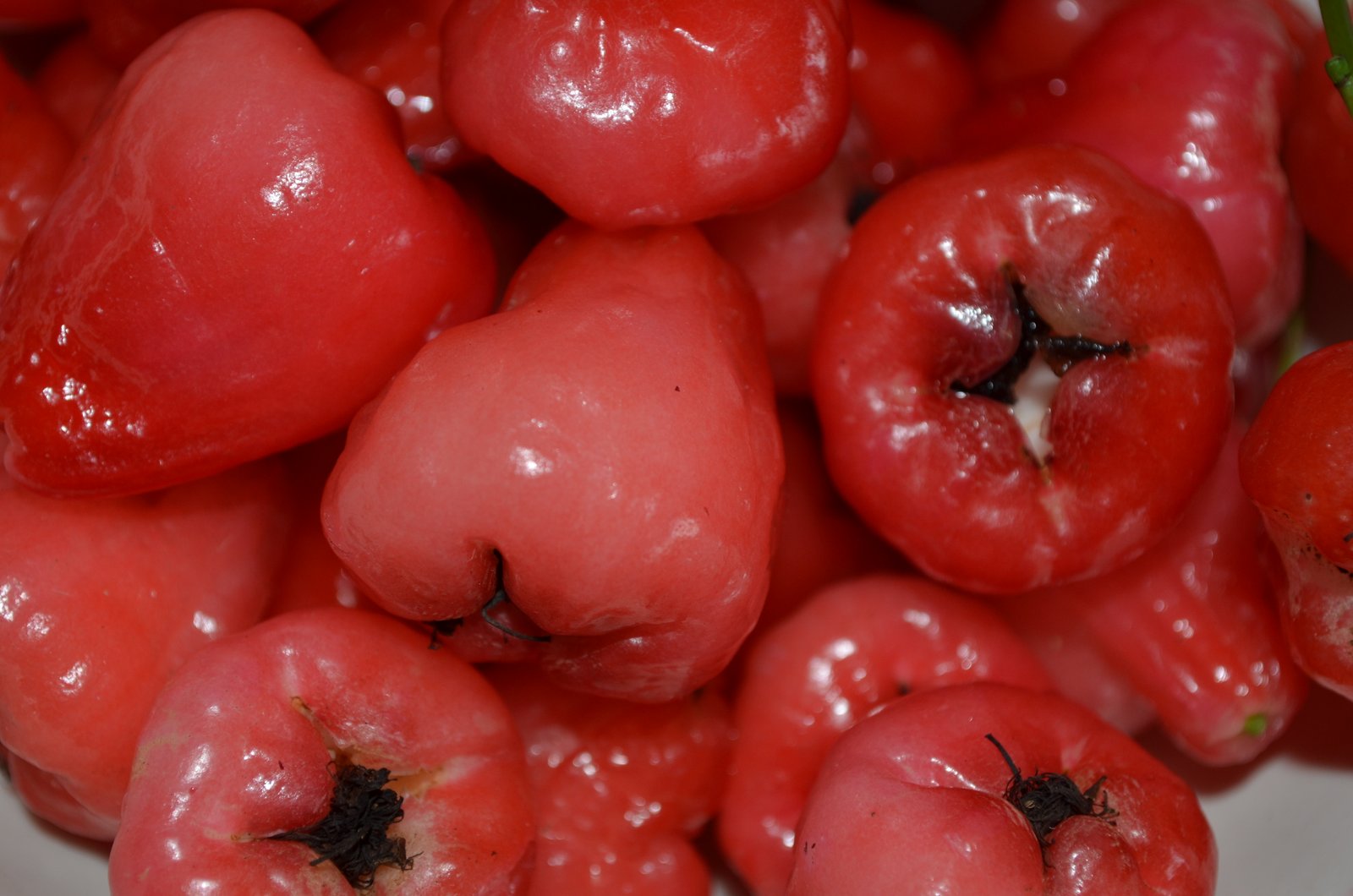 Jambu Air